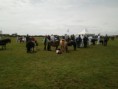 /album/zeeuwse-dag-van-het-paard-29-06-2014/p6290157-jpg/