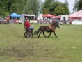 /album/zeeuwse-dag-van-het-paard-29-06-2014/p6290173-jpg/