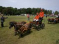 /album/zeeuwse-dag-van-het-paard-29-06-2014/p6290175-jpg/