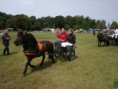 /album/zeeuwse-dag-van-het-paard-29-06-2014/p6290176-jpg/