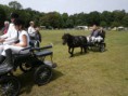 /album/zeeuwse-dag-van-het-paard-29-06-2014/p6290177-jpg/