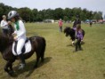 /album/zeeuwse-dag-van-het-paard-29-06-2014/p6290178-jpg/