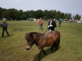 /album/zeeuwse-dag-van-het-paard-29-06-2014/p6290179-jpg/