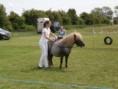 /album/zeeuwse-dag-van-het-paard-29-06-2014/p6290186-jpg/