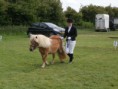 /album/zeeuwse-dag-van-het-paard-29-06-2014/p6290189-jpg/