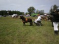 /album/zeeuwse-dag-van-het-paard-29-06-2014/p6290209-jpg/