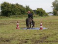 /album/zeeuwse-dag-van-het-paard-29-06-2014/p6290243-jpg/
