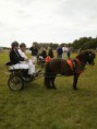/album/zeeuwse-dag-van-het-paard-29-06-2014/p6290276-jpg/