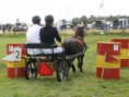 /album/zeeuwse-dag-van-het-paard-29-06-2014/p6290291-jpg/