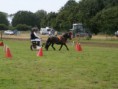 /album/zeeuwse-dag-van-het-paard-29-06-2014/p6290292-jpg/