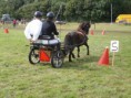 /album/zeeuwse-dag-van-het-paard-29-06-2014/p6290306-jpg/